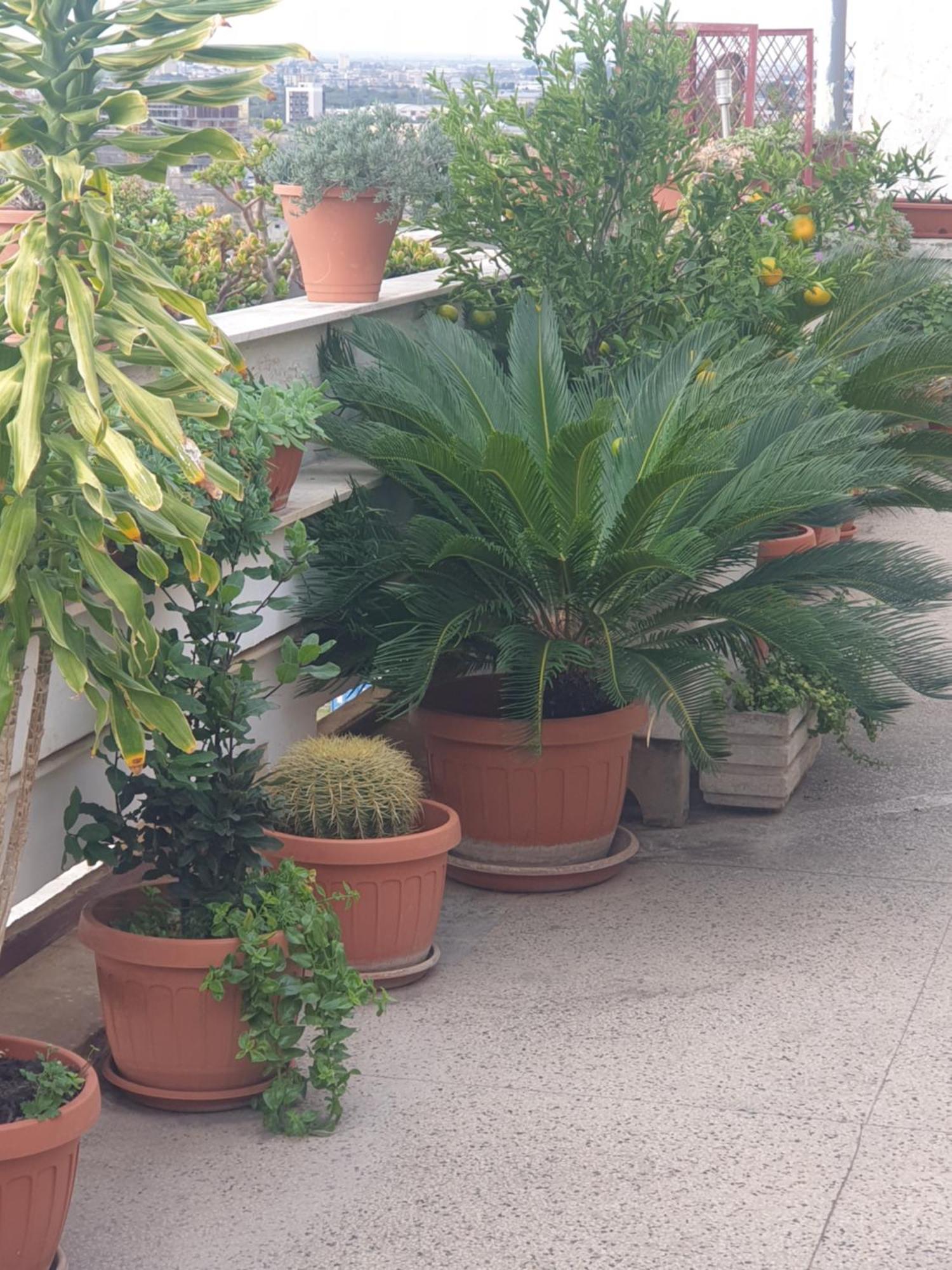 B&B Ganaj La Terrazza Di Ganaj Bari Luaran gambar