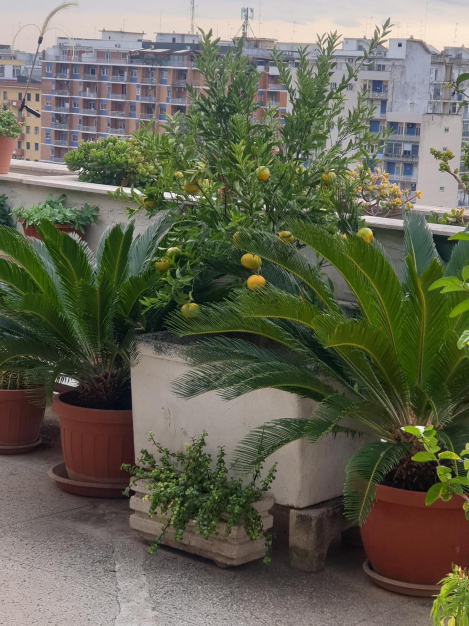 B&B Ganaj La Terrazza Di Ganaj Bari Luaran gambar
